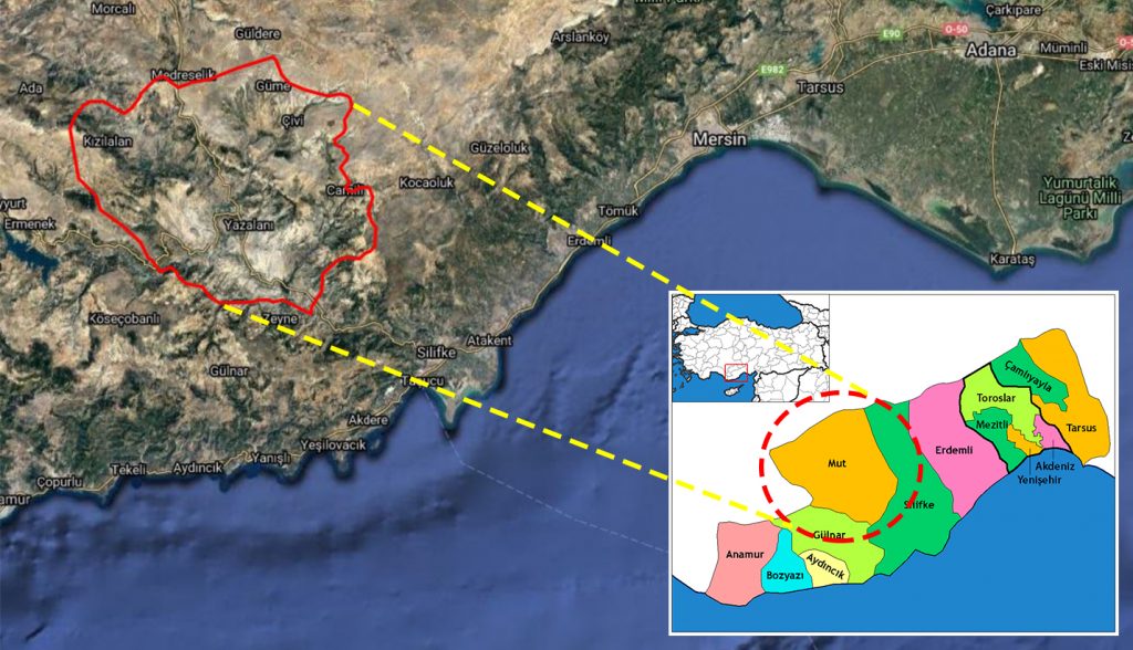 Mersin Mut